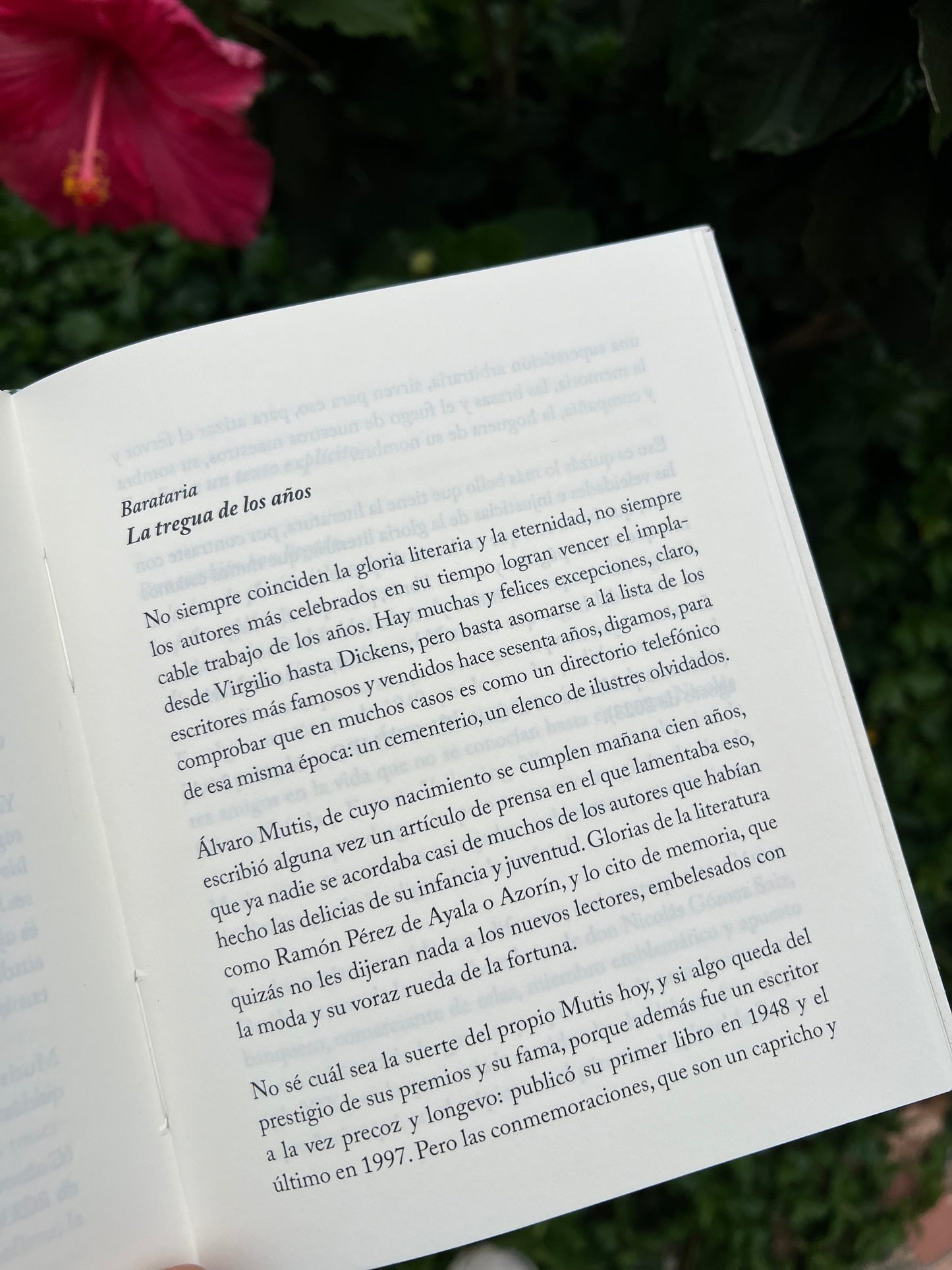 Suertes Mutisianas - Juan Esteban Constaín - Imagen 3