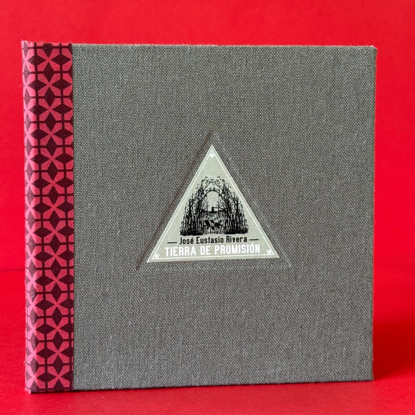 Tierra de Promisión - José Eustasio Rivera - Imagen 1