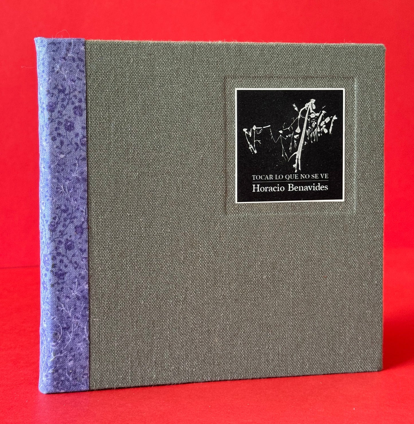 Tocar lo que no se ve - Horacio Benavides - Imagen 1
