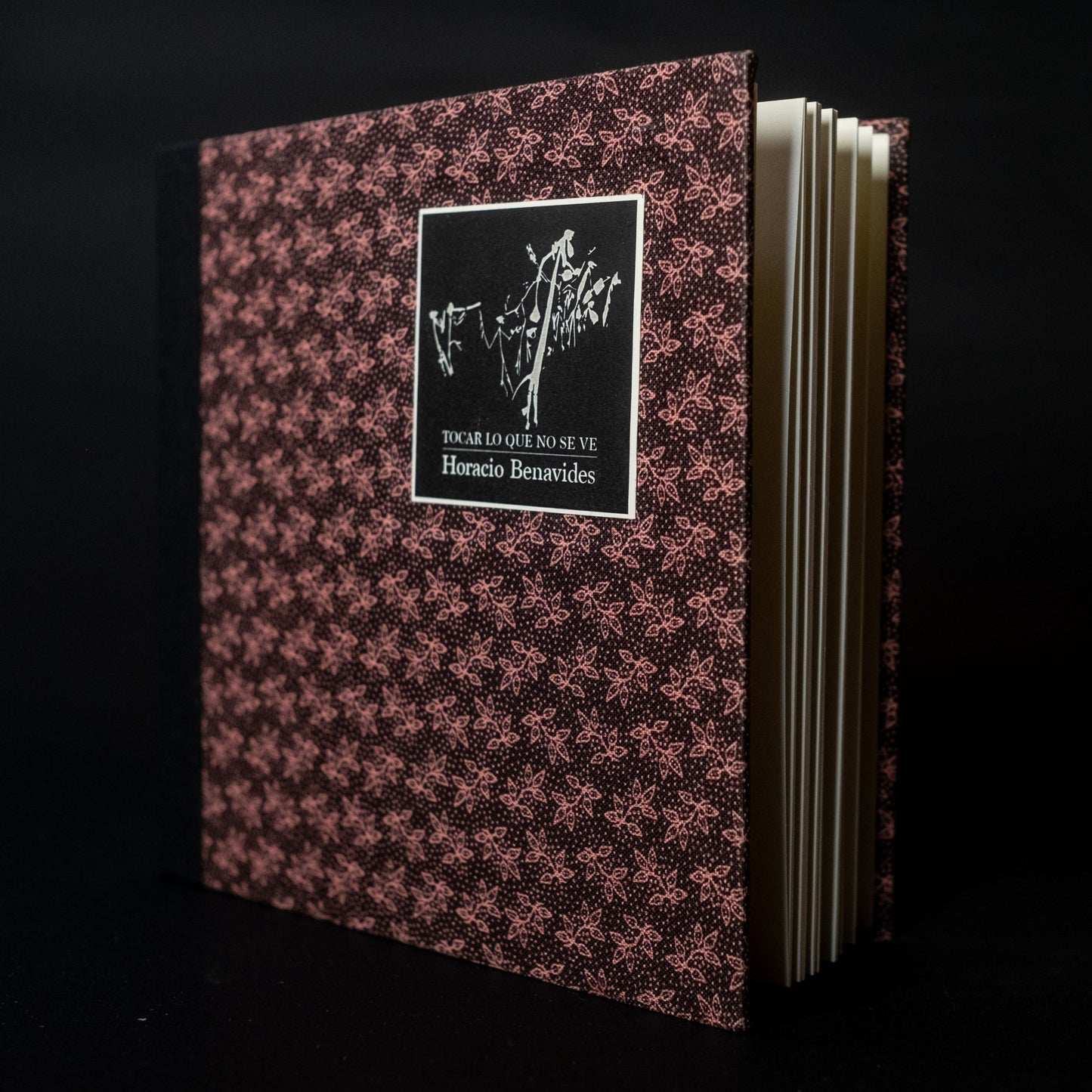 Tocar lo que no se ve - Horacio Benavides - Imagen 2