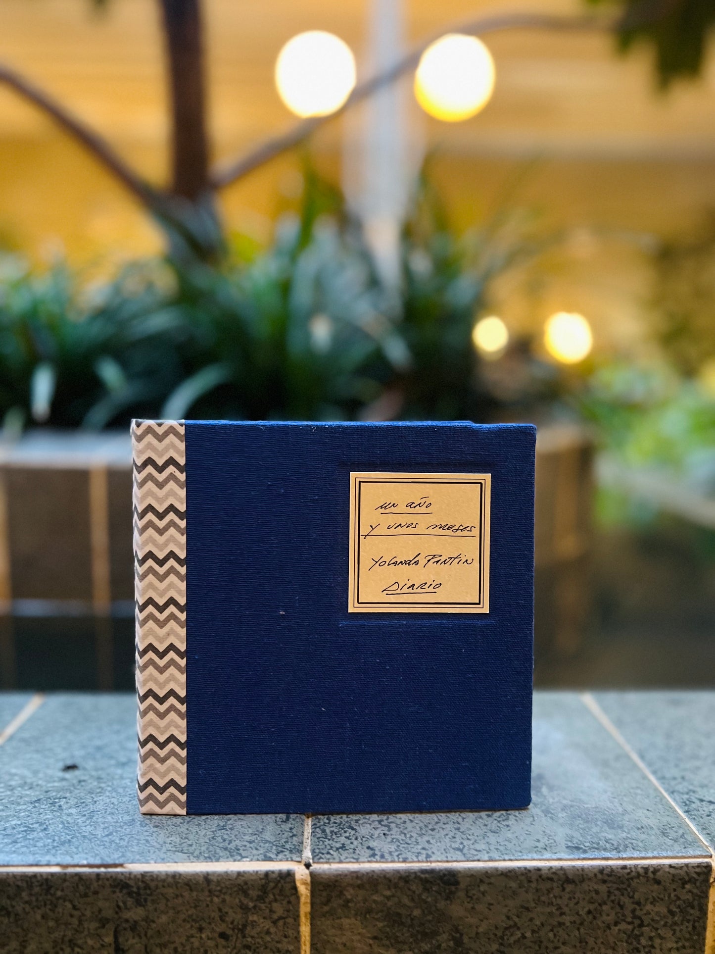 Un año y unos meses - Yolanda Pantin - Imagen 2