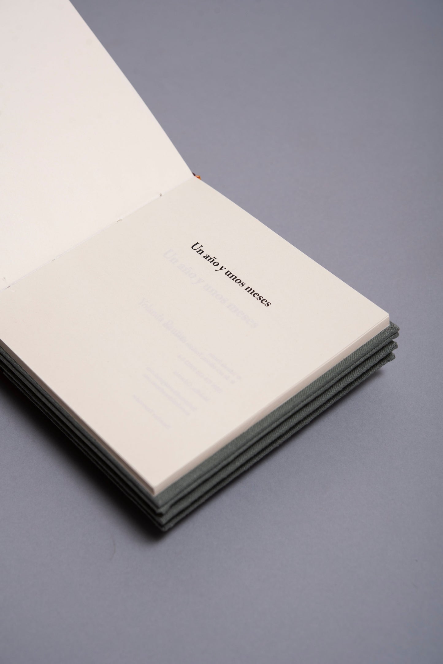 Un año y unos meses - Yolanda Pantin - Imagen 3