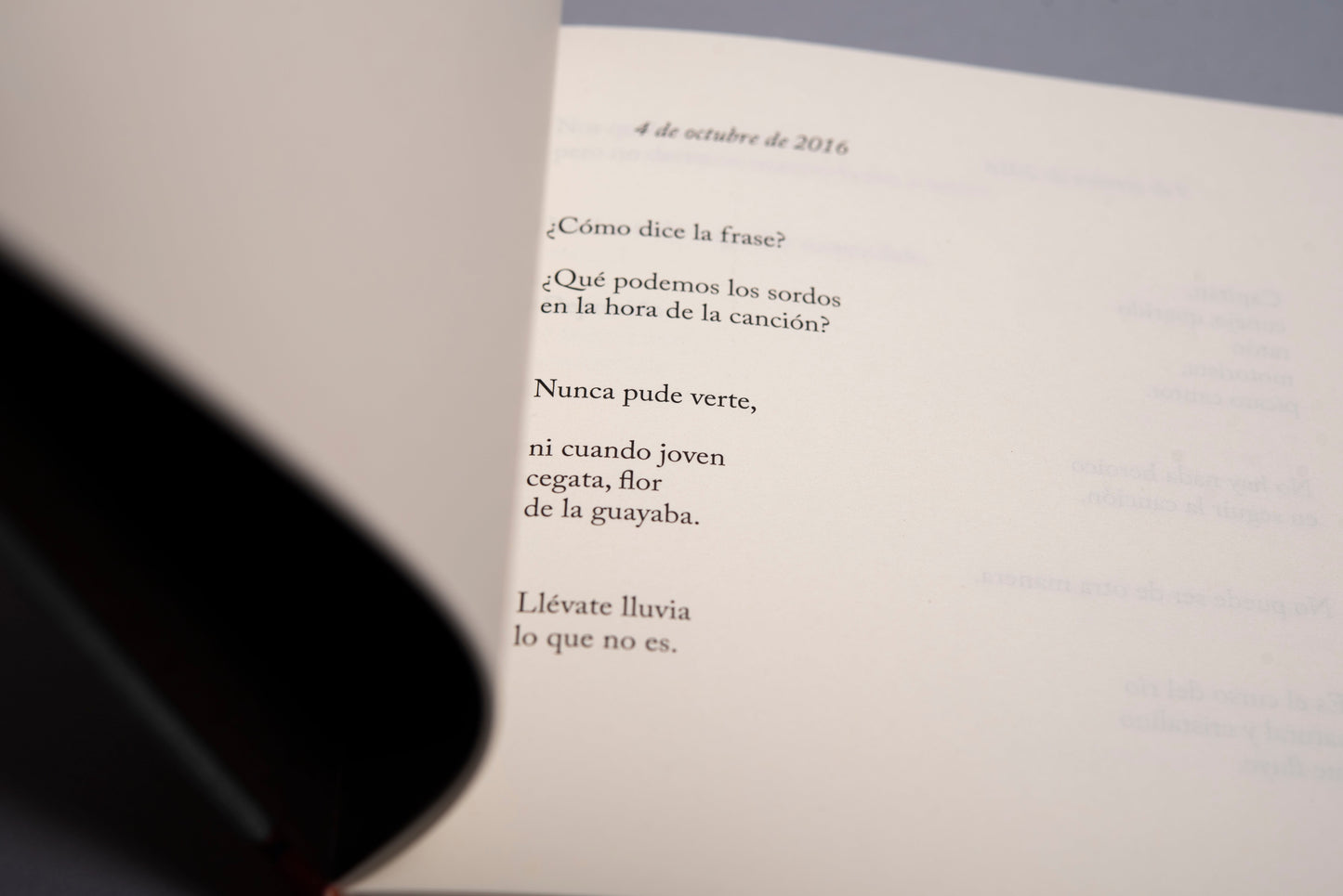 Un año y unos meses - Yolanda Pantin - Imagen 4