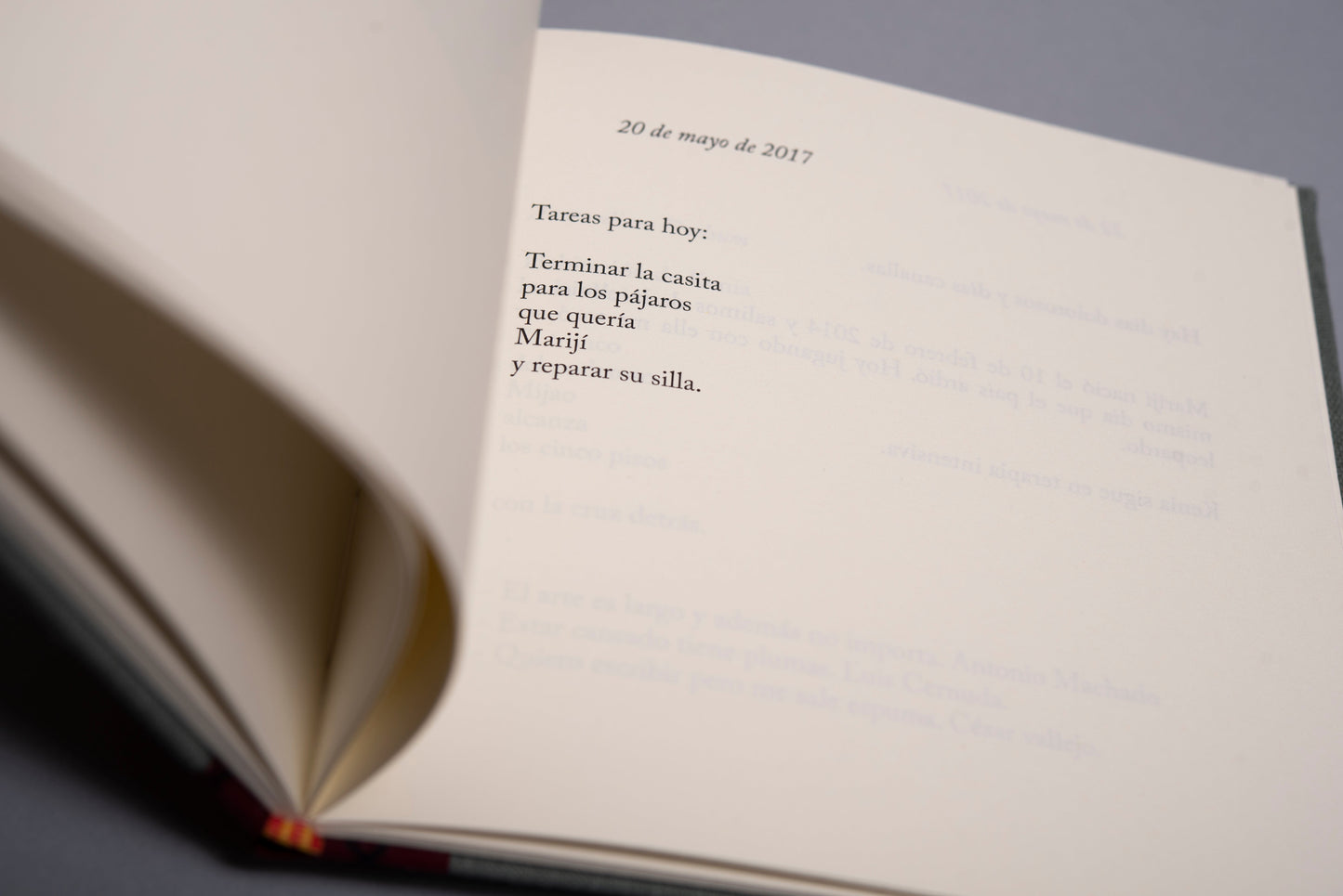 Un año y unos meses - Yolanda Pantin - Imagen 5