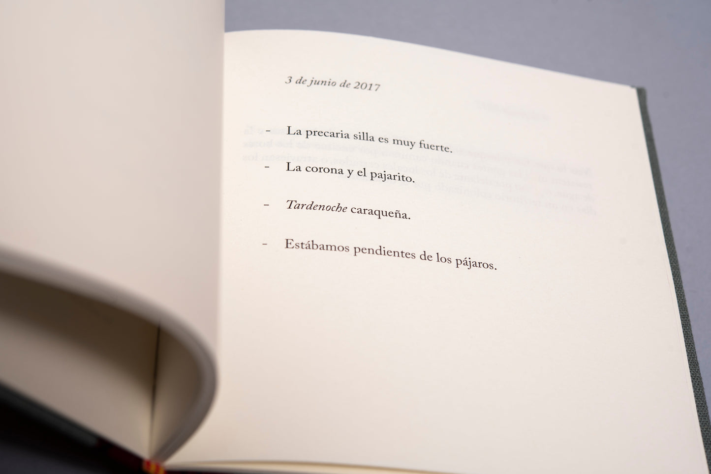 Un año y unos meses - Yolanda Pantin - Imagen 6