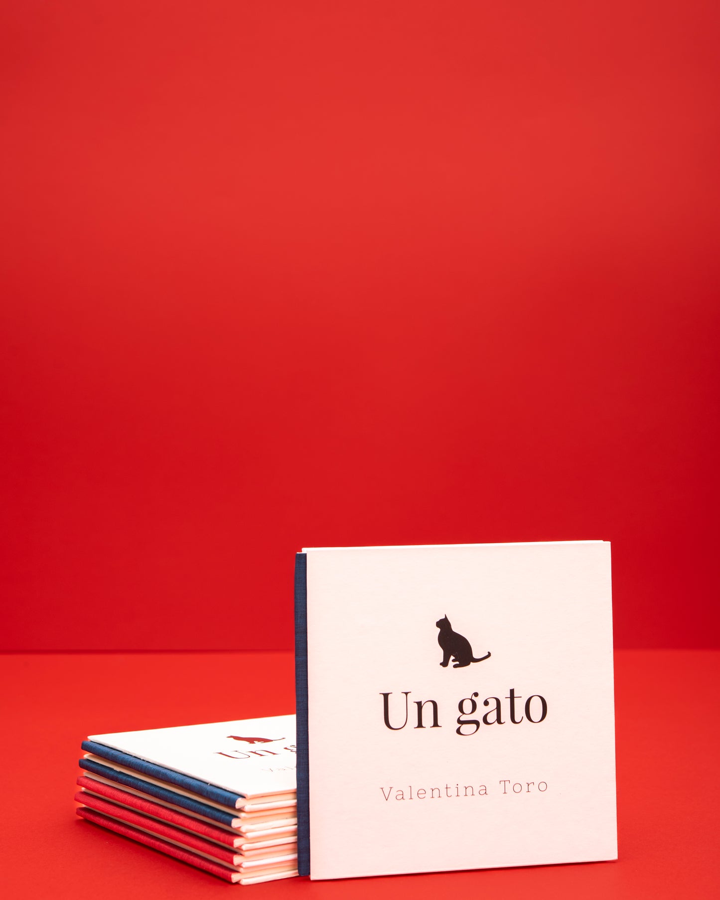 Un gato - Valentina Toro Gutiérrez - Imagen 1