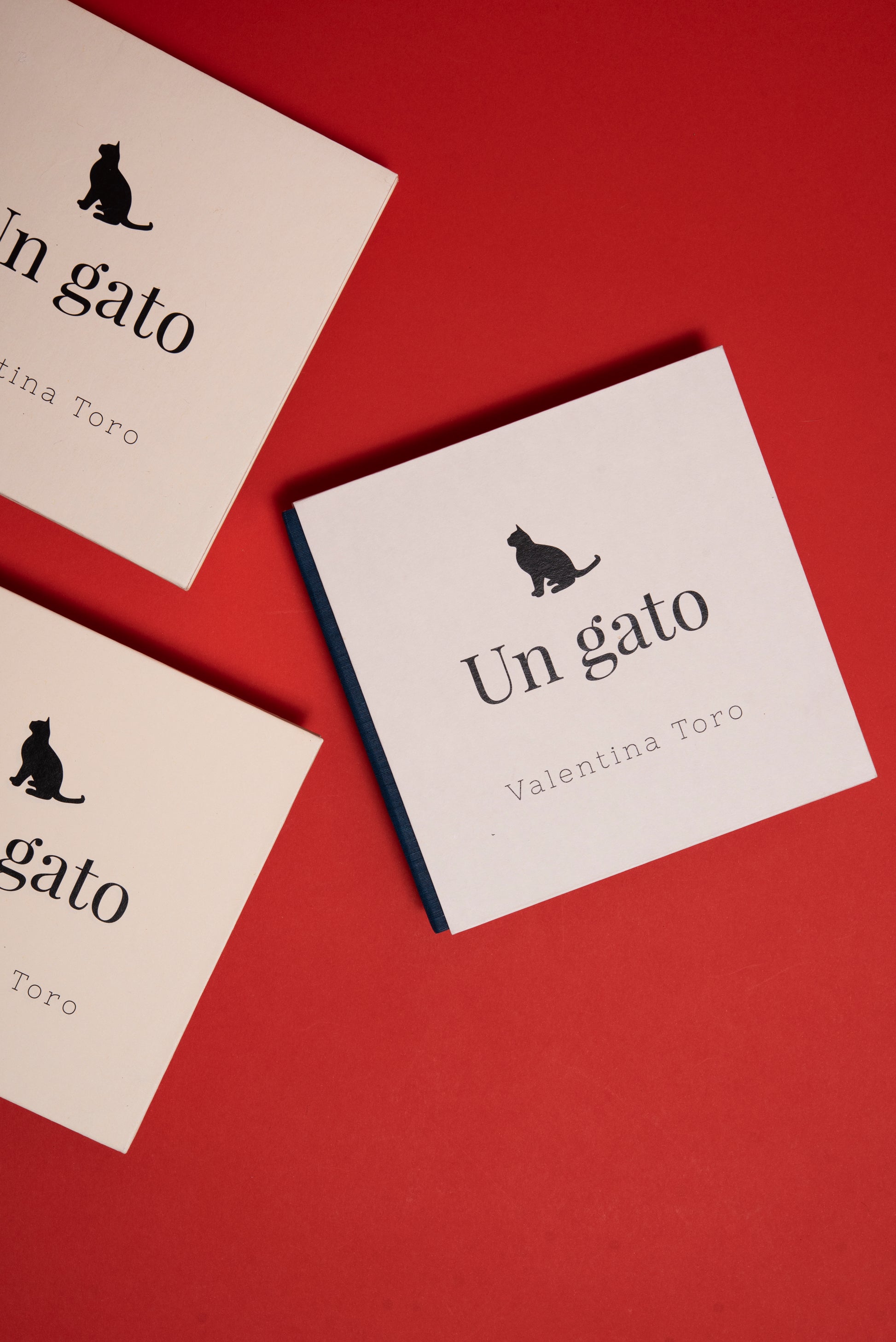 Un gato - Valentina Toro Gutiérrez - Imagen 2