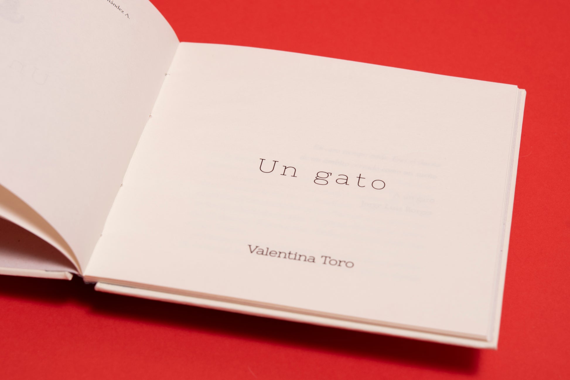 Un gato - Valentina Toro Gutiérrez - Imagen 3