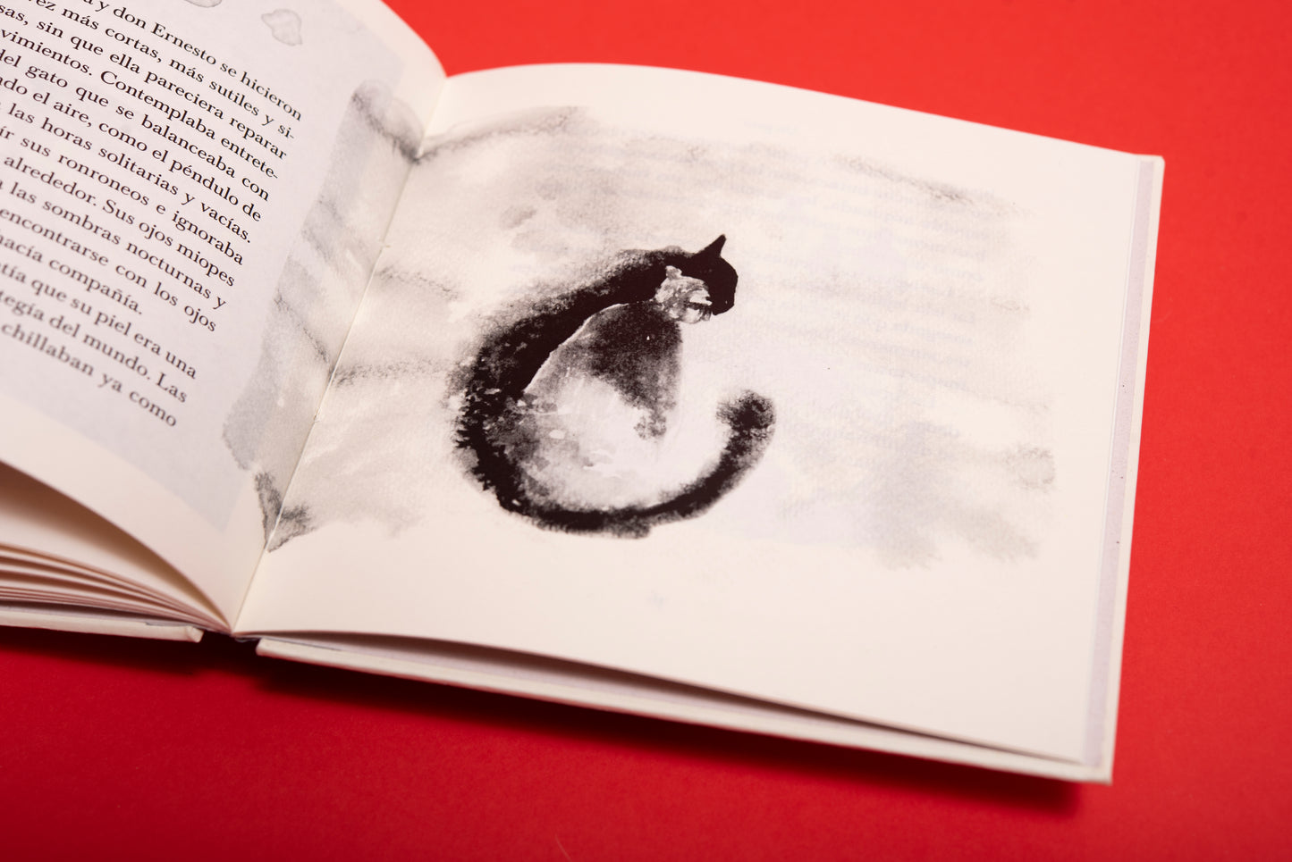 Un gato - Valentina Toro Gutiérrez - Imagen 4