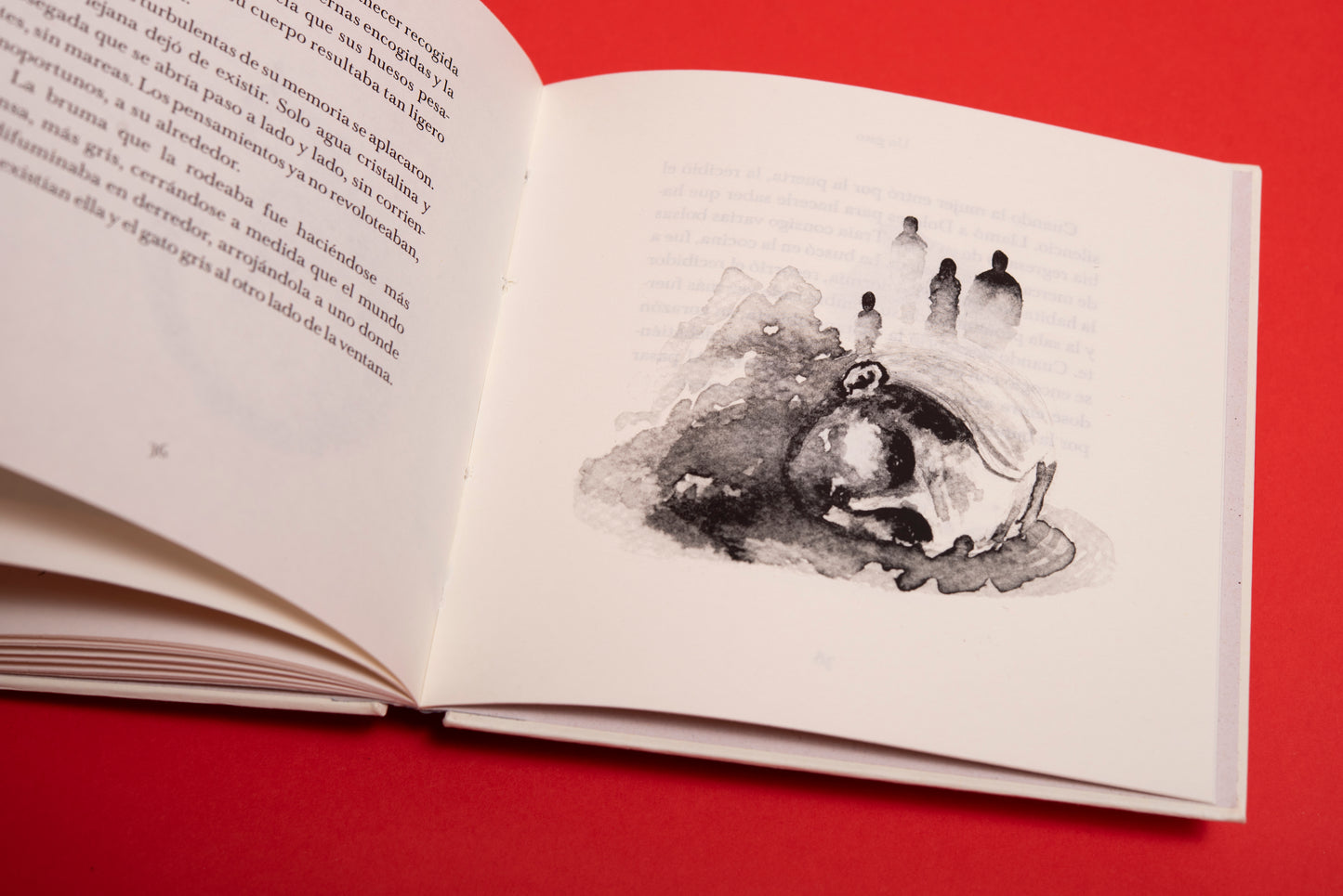 Un gato - Valentina Toro Gutiérrez - Imagen 6