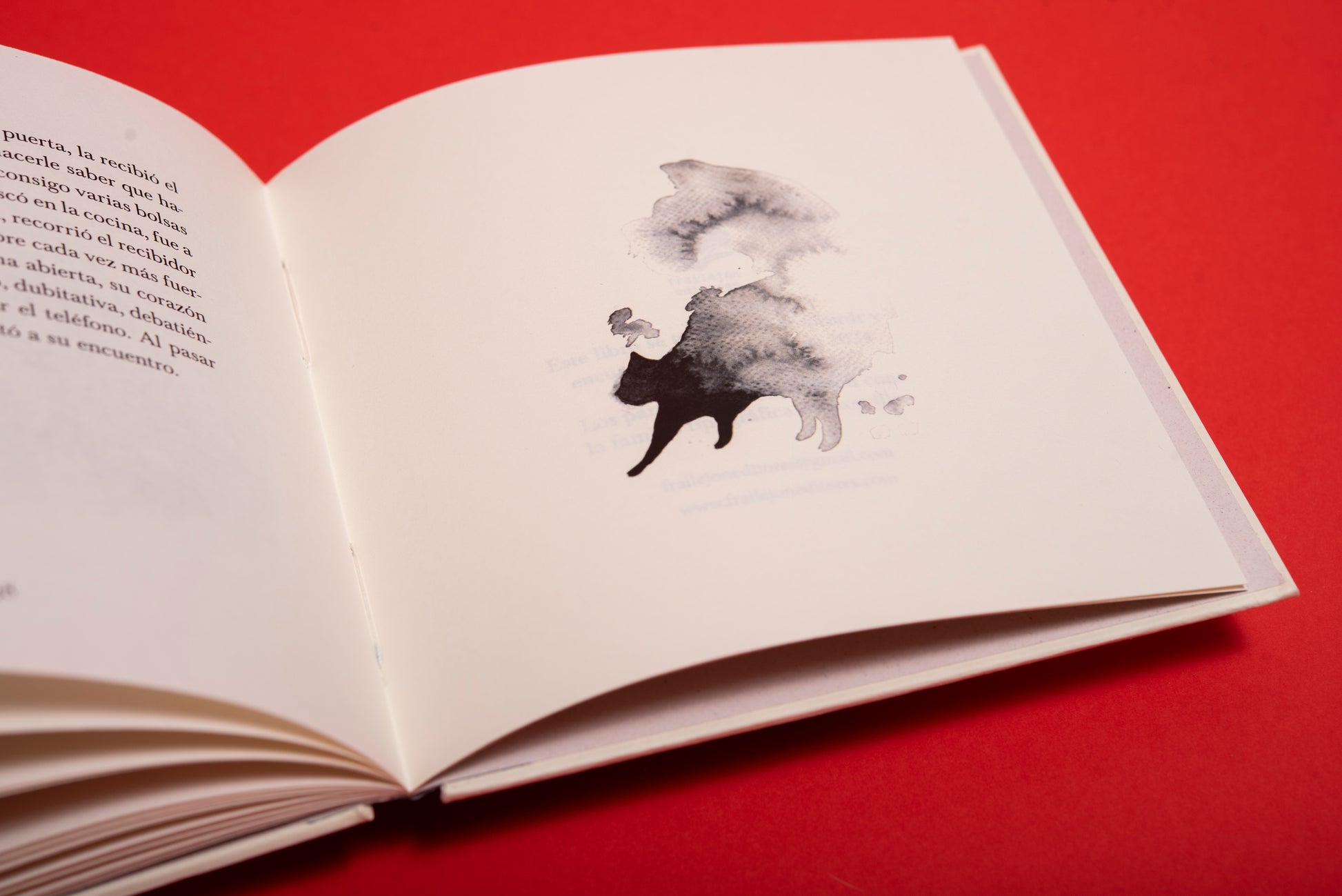 Un gato - Valentina Toro Gutiérrez - Imagen 7