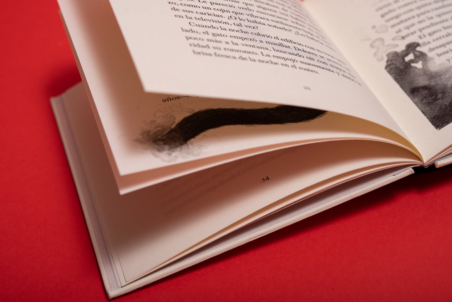 Un gato - Valentina Toro Gutiérrez - Imagen 8