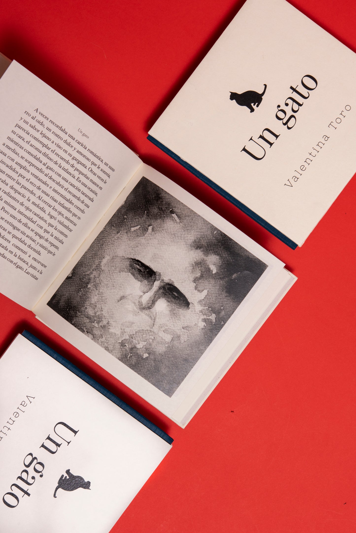 Un gato - Valentina Toro Gutiérrez - Imagen 9