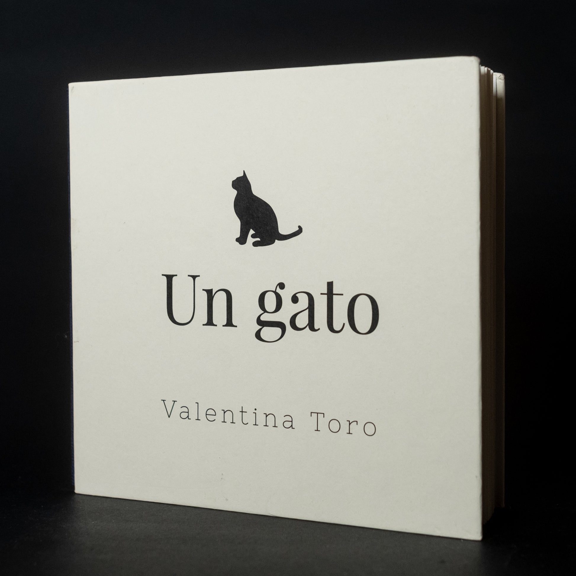 Un gato - Valentina Toro Gutiérrez - Imagen 10