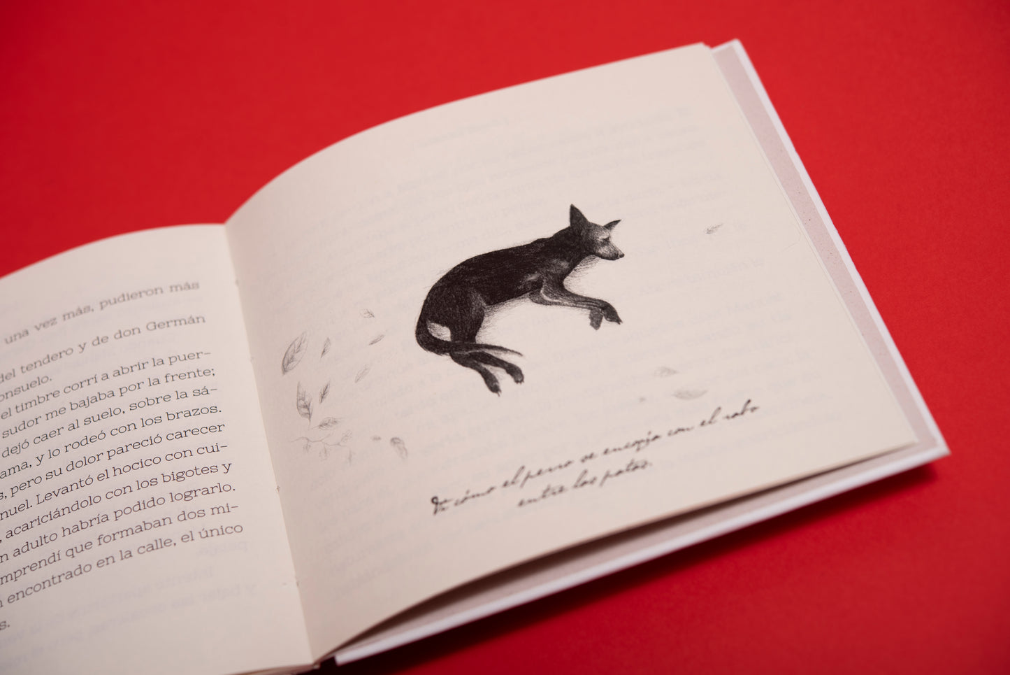 Un perro - Valentina Toro - Imagen 3