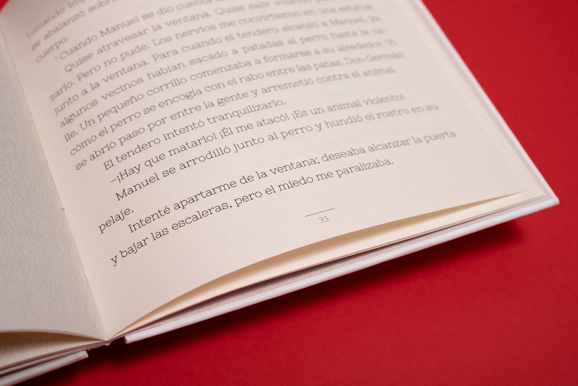 Un perro - Valentina Toro - Imagen 4