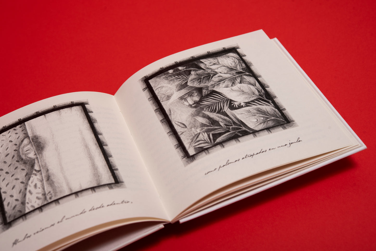 Un perro - Valentina Toro - Imagen 5