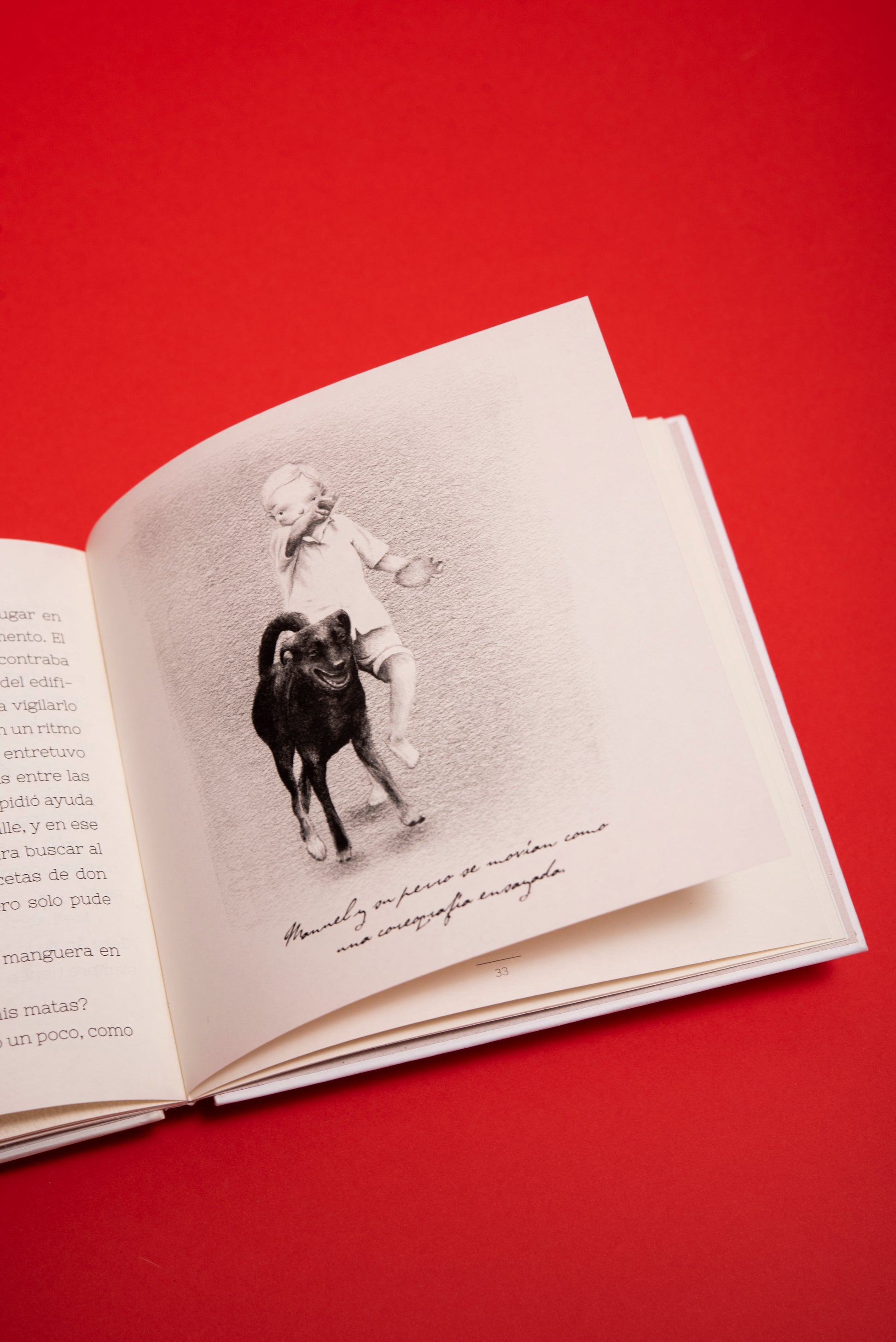 Un perro - Valentina Toro - Imagen 6