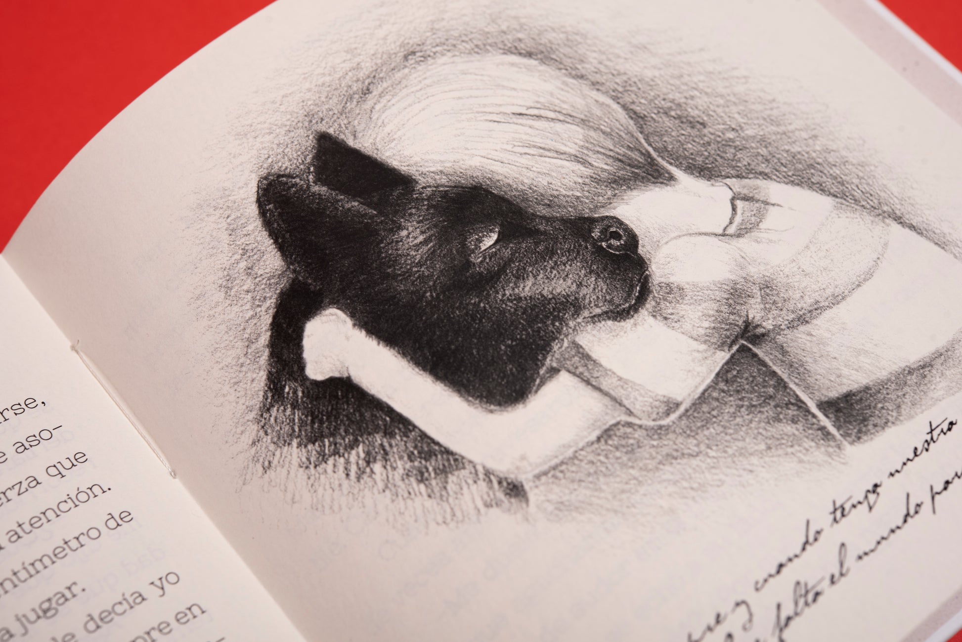 Un perro - Valentina Toro - Imagen 8