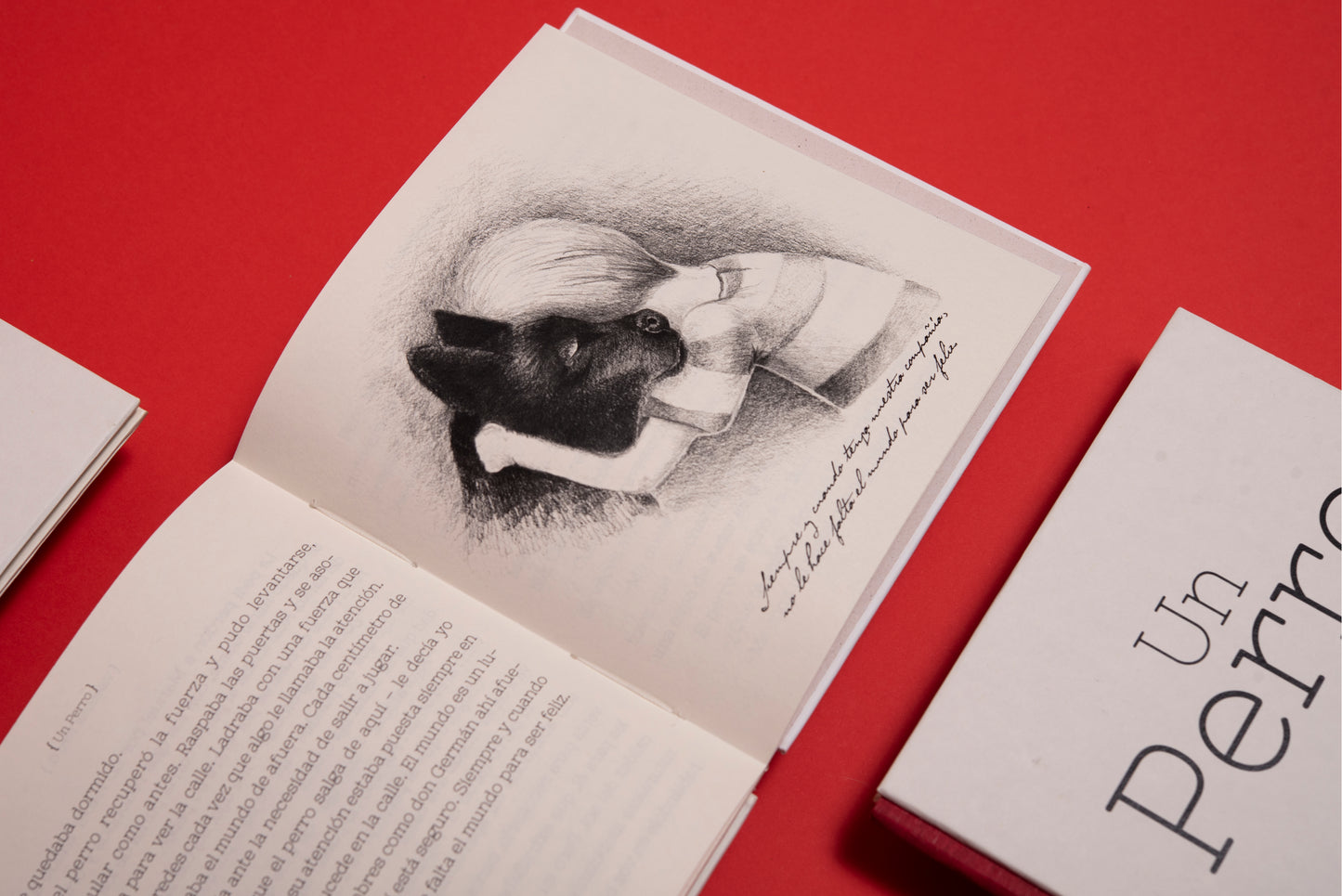 Un perro - Valentina Toro - Imagen 11