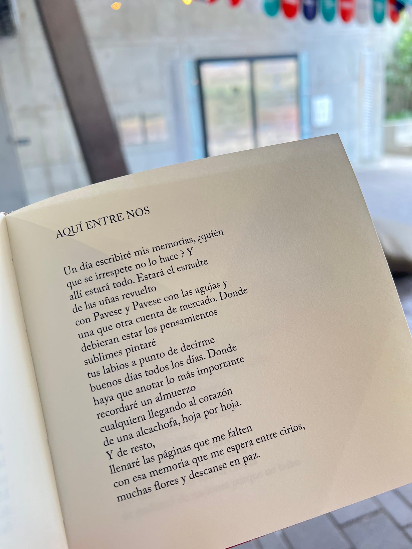 Vainas y otros poemas - Maria Mercedes Carranza - Imagen 3