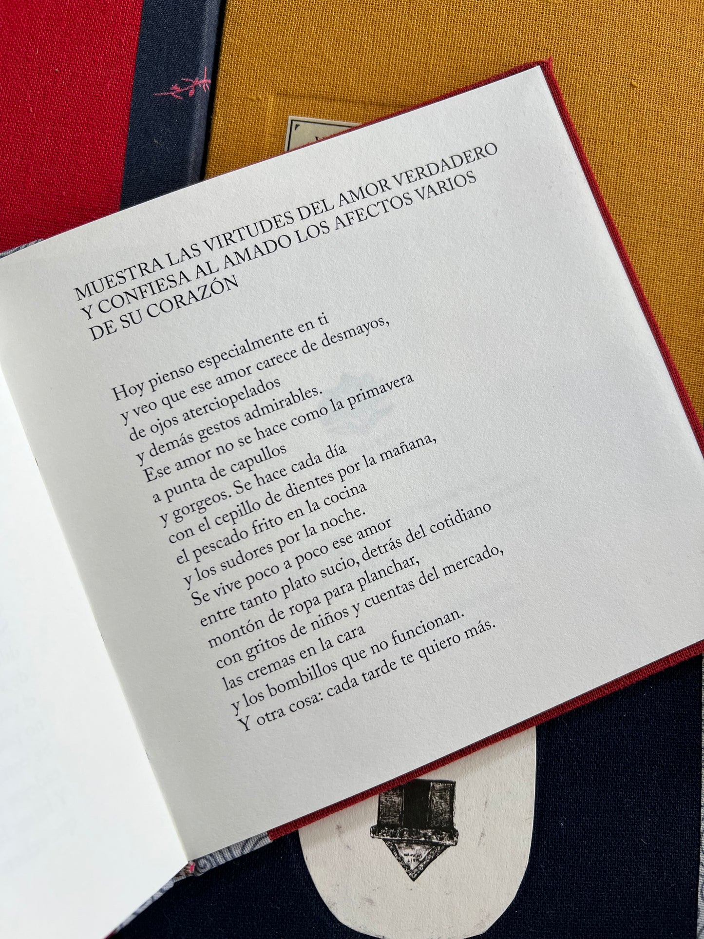 Vainas y otros poemas - Maria Mercedes Carranza - Imagen 4