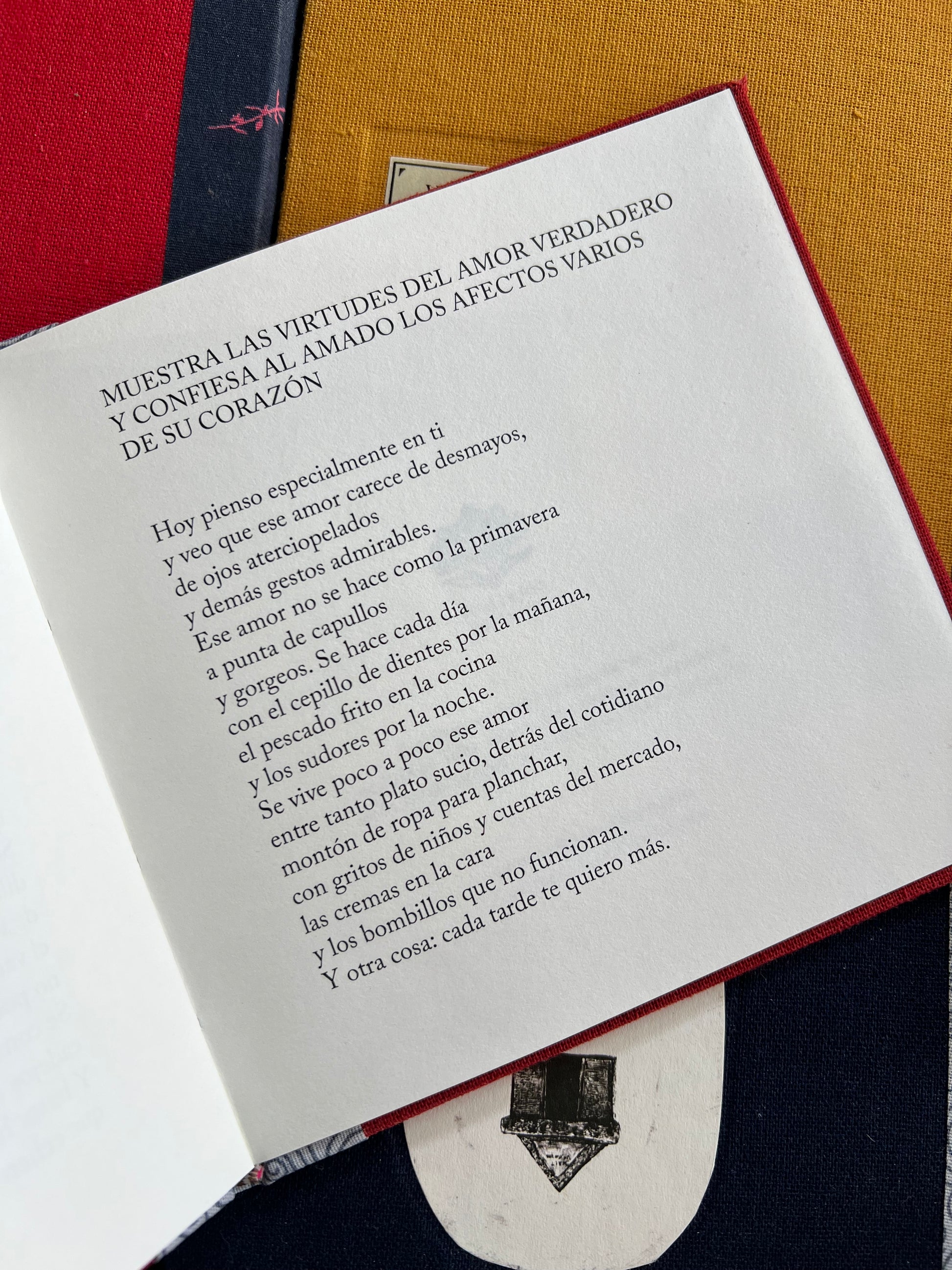 Vainas y otros poemas - Maria Mercedes Carranza - Imagen 4