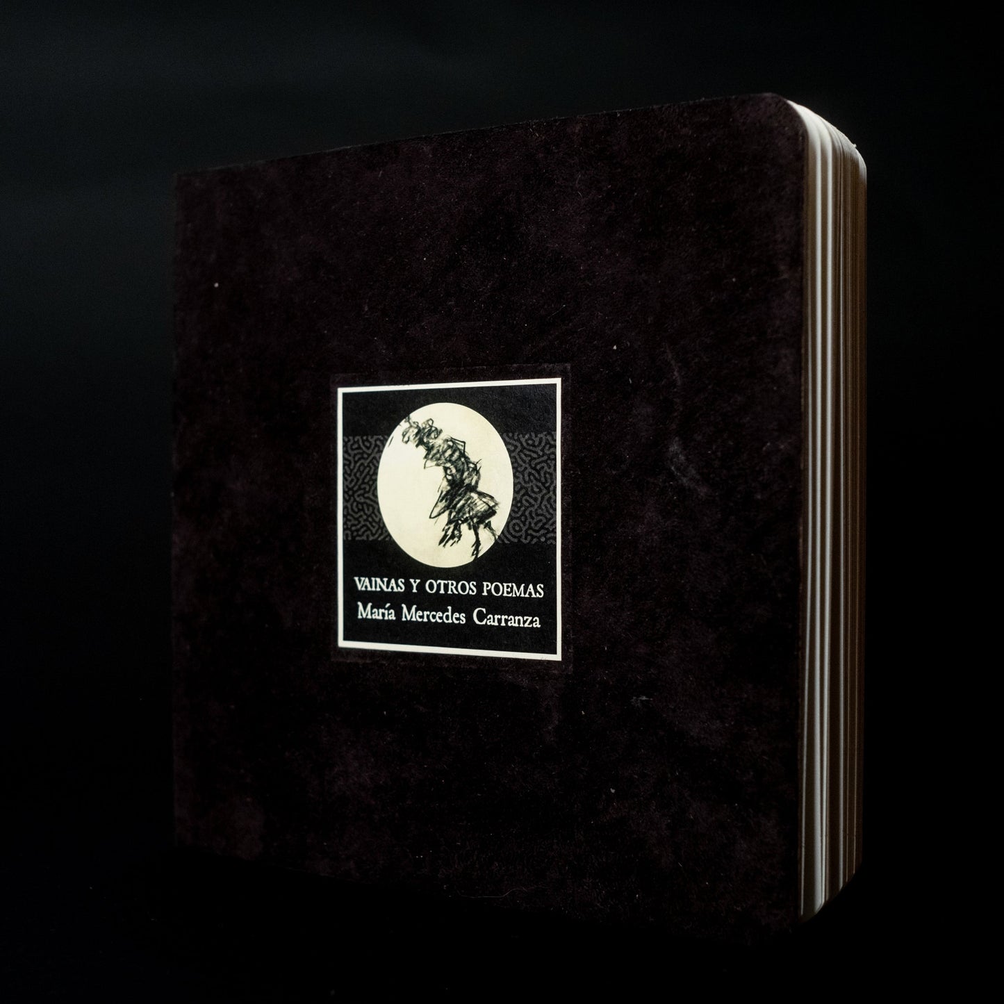Vainas y otros poemas - Maria Mercedes Carranza - Imagen 7
