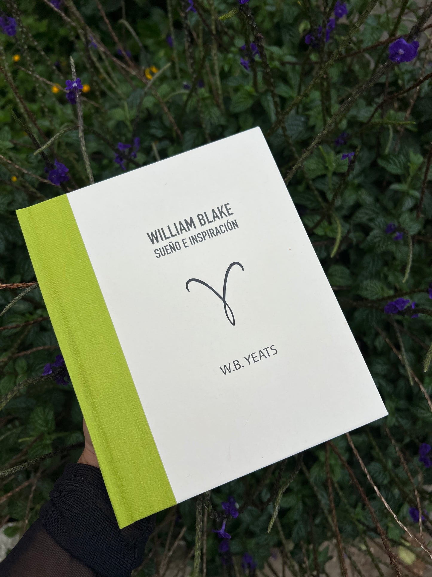 William Blake Sueño e inspiración - W.B Yeats - Imagen 1