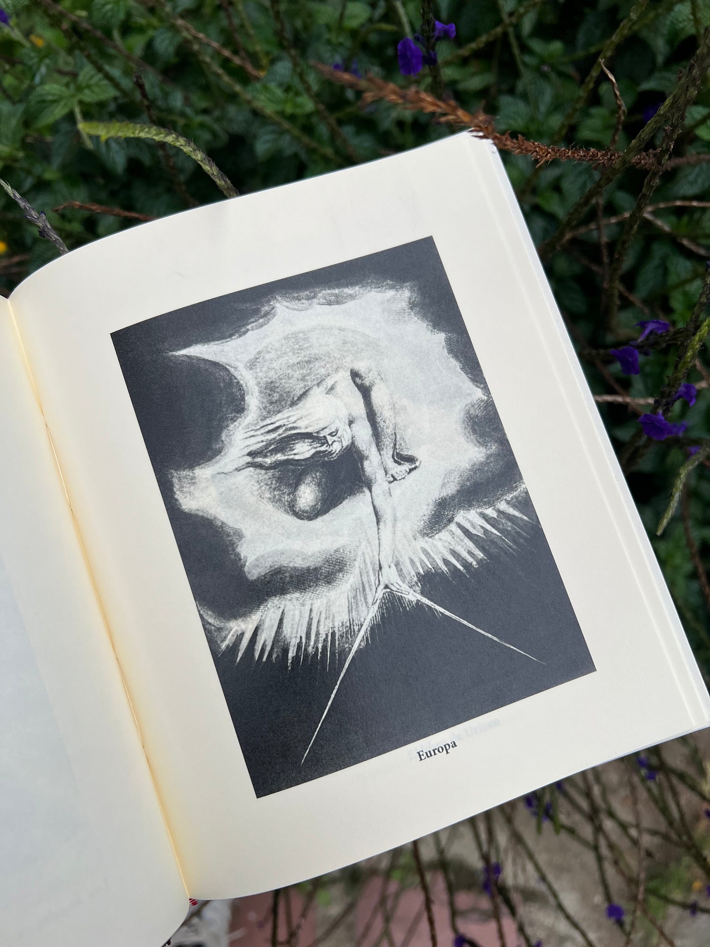 William Blake Sueño e inspiración - W.B Yeats - Imagen 3