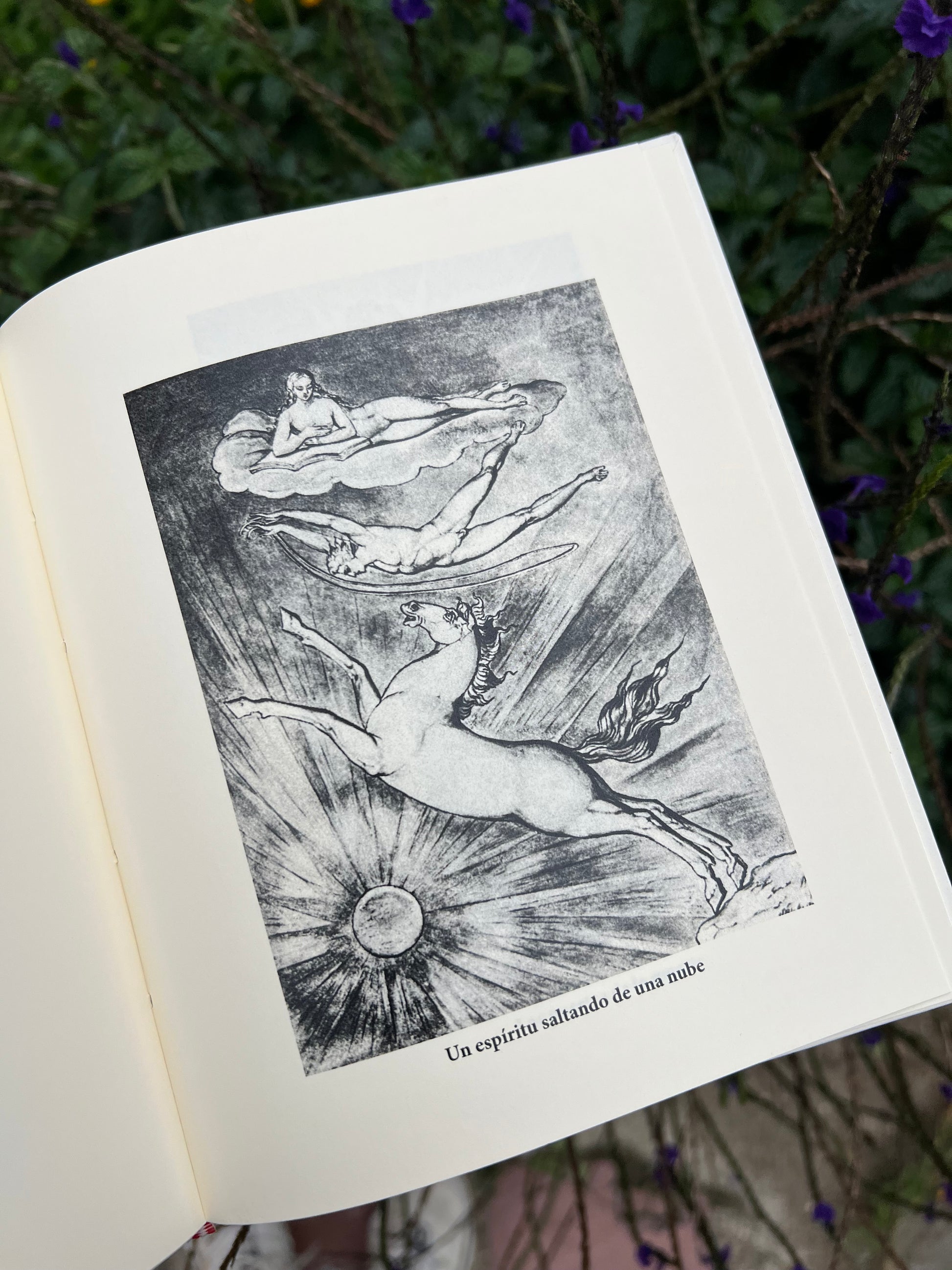 William Blake Sueño e inspiración - W.B Yeats - Imagen 4