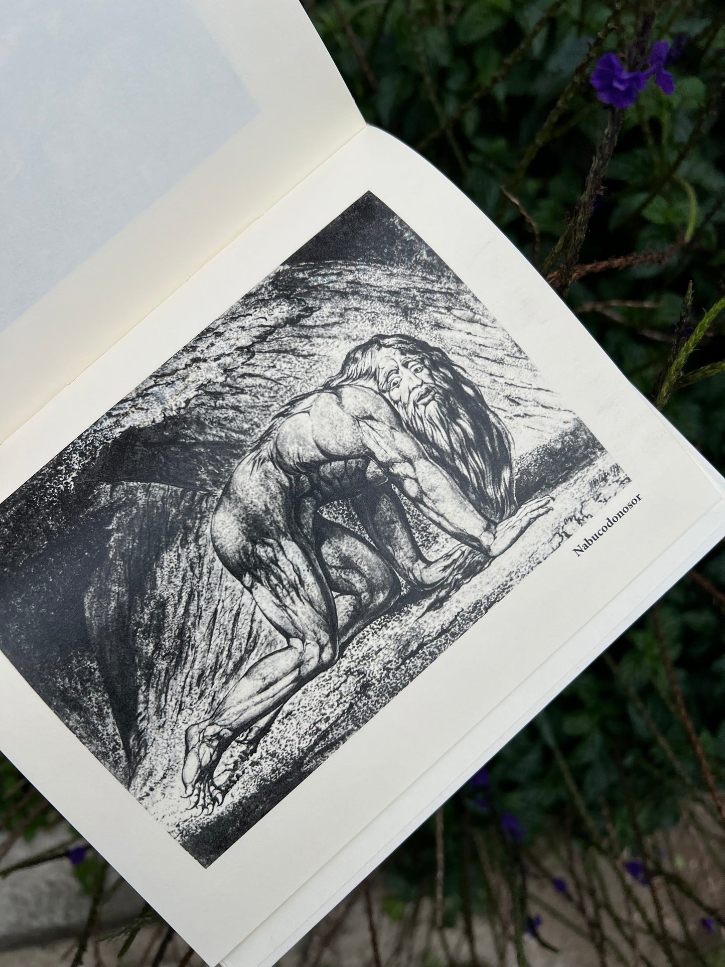 William Blake Sueño e inspiración - W.B Yeats - Imagen 5