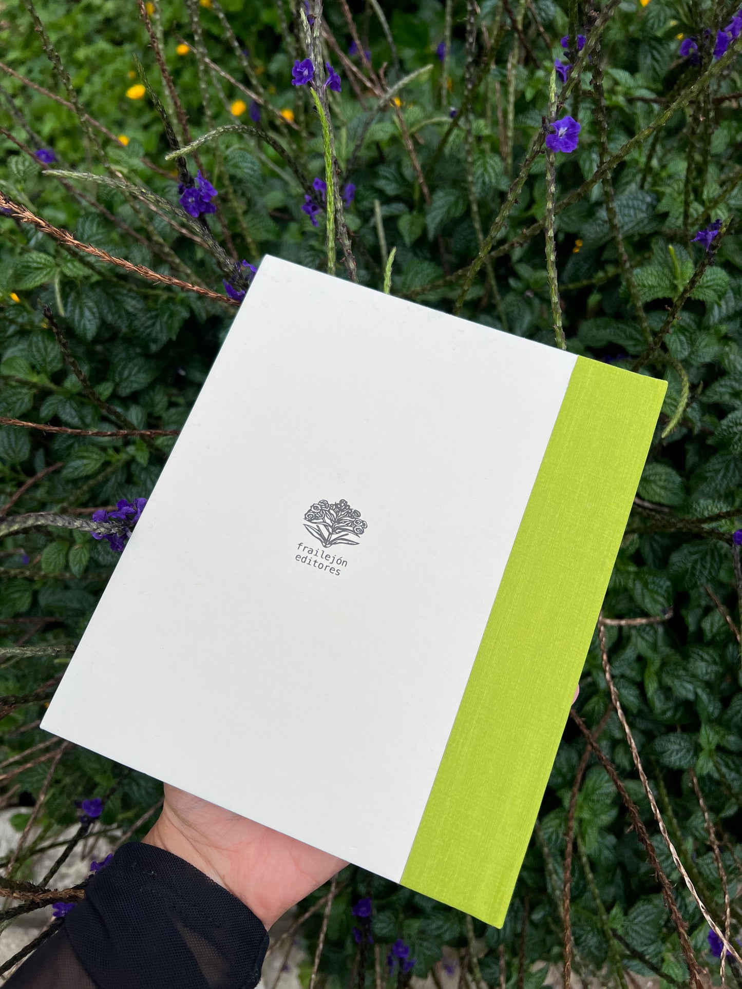 William Blake Sueño e inspiración - W.B Yeats - Imagen 6