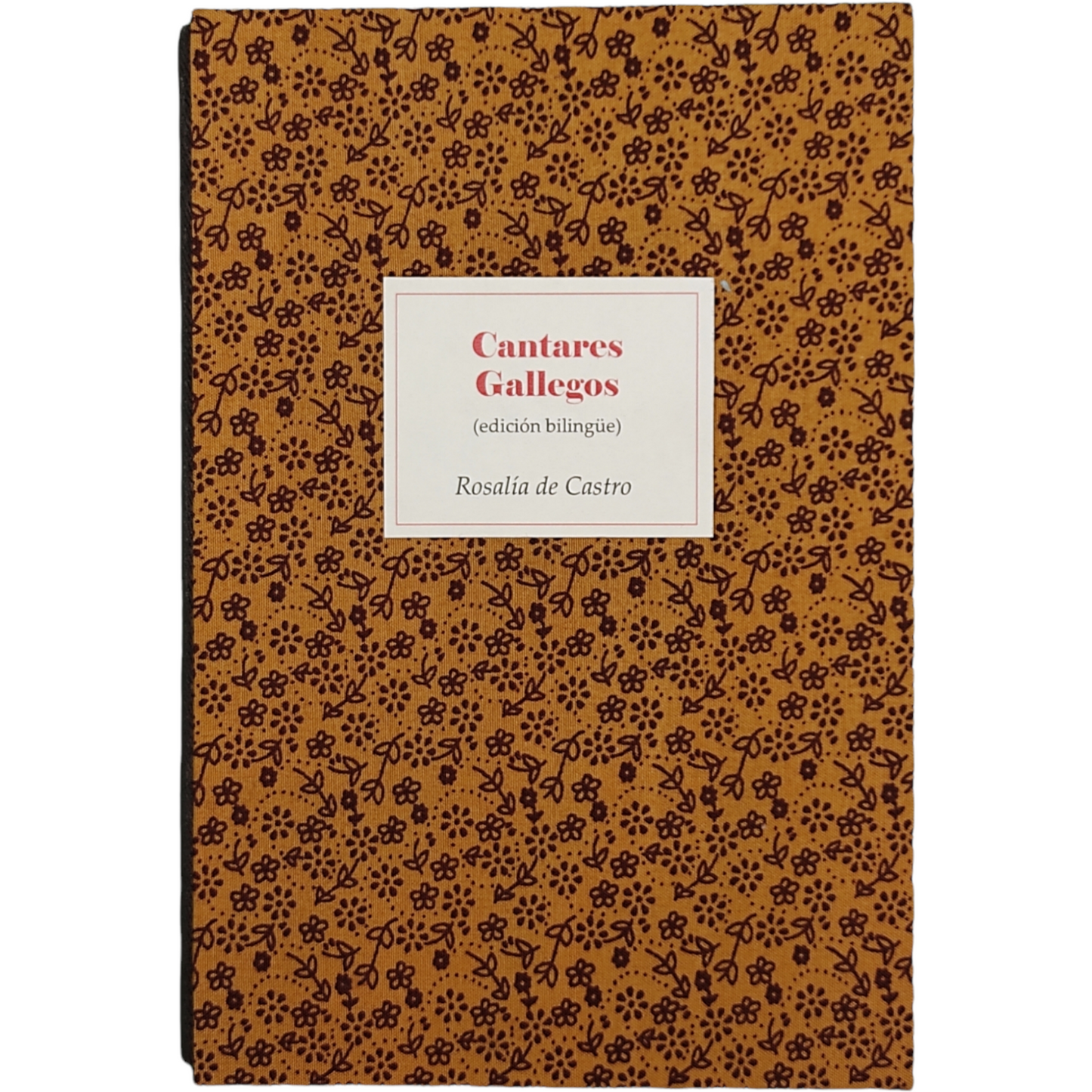 Cantares Gallegos - Rosalía de Castro - Imagen 2