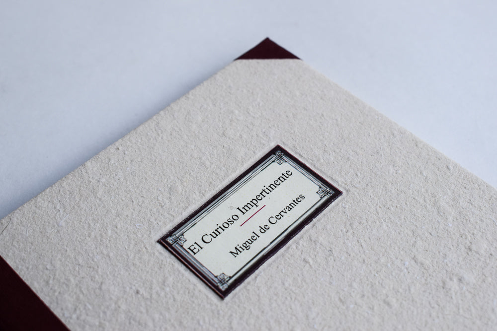 El Curioso Impertinente - Miguel de Cervantes - Imagen 4