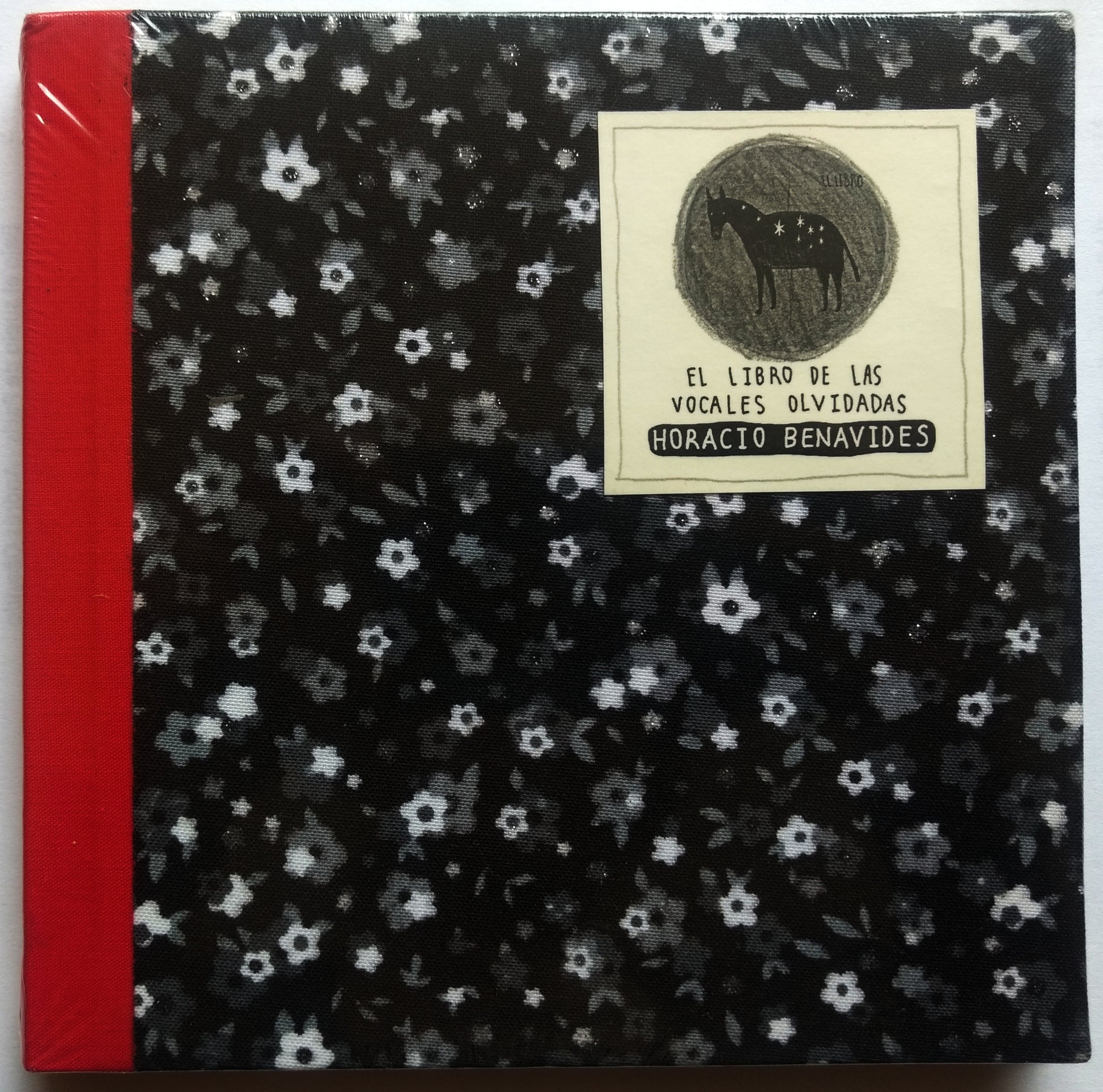 El libro de las vocales olvidadas - Horacio Benavides - Imagen 3