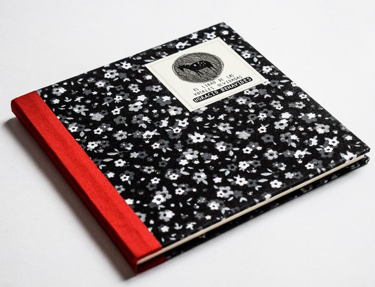 El libro de las vocales olvidadas - Horacio Benavides - Imagen 4