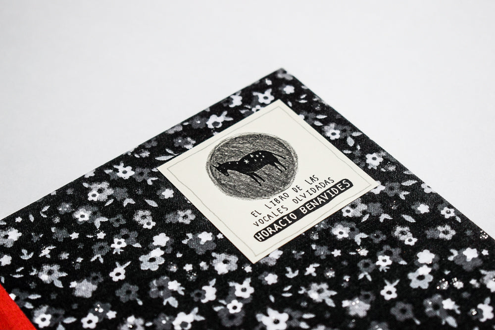 El libro de las vocales olvidadas - Horacio Benavides - Imagen 5