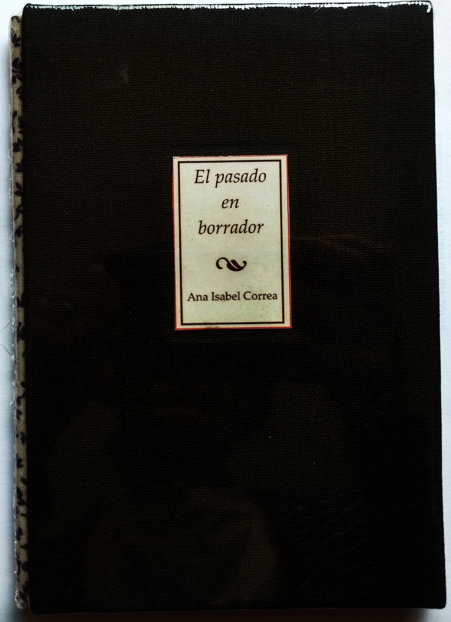 El pasado en borrador - Ana Isabel Correa - Imagen 2