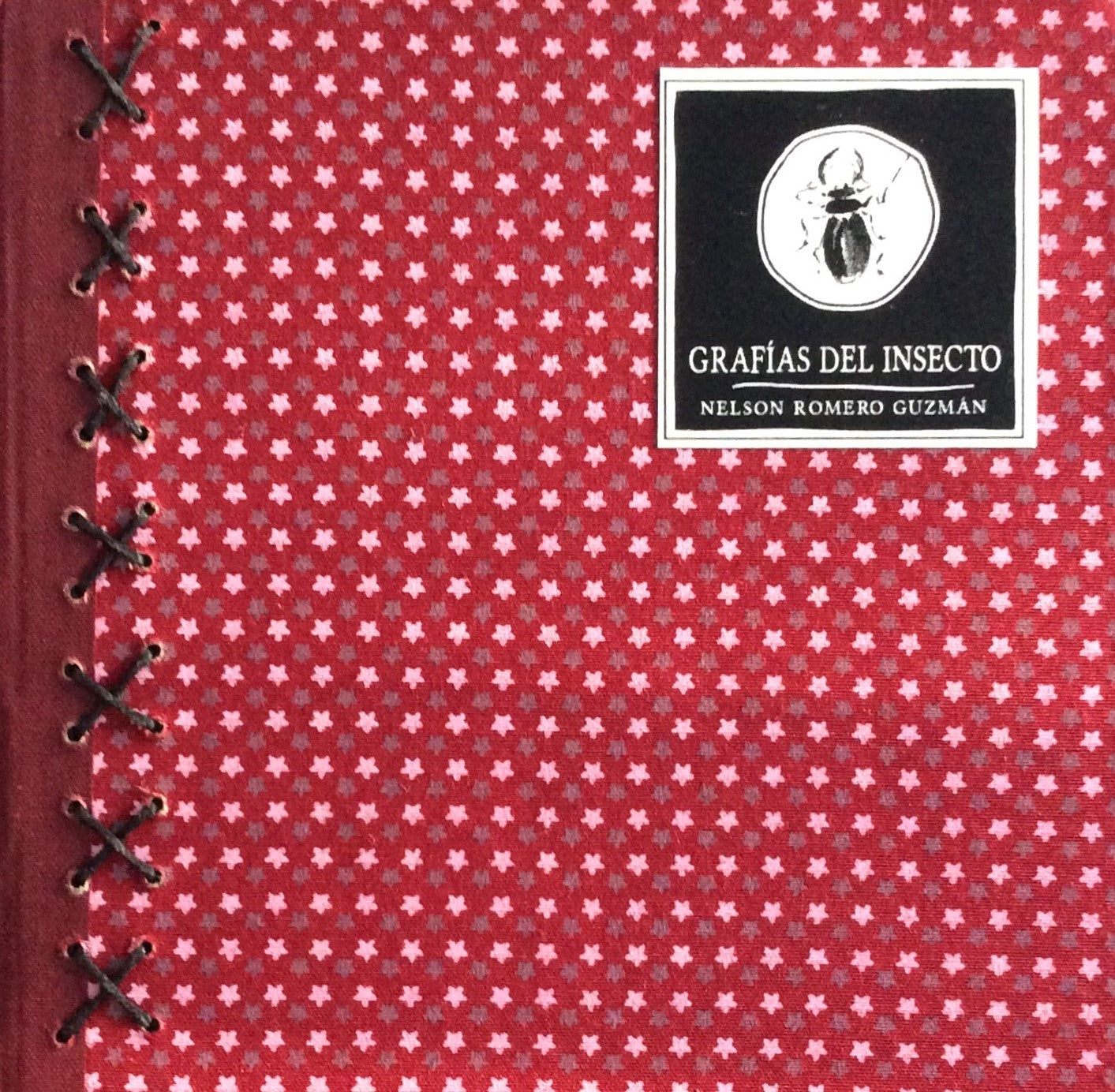Grafías del insecto - Nelson Romero - Imagen 3