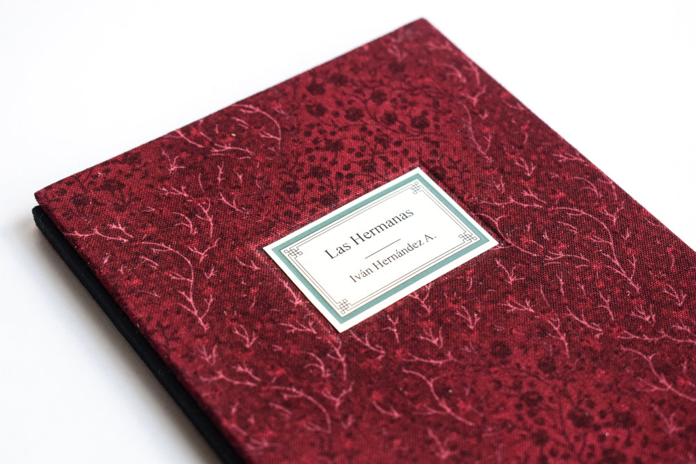 Las hermanas - Iván Hernández - Imagen 4