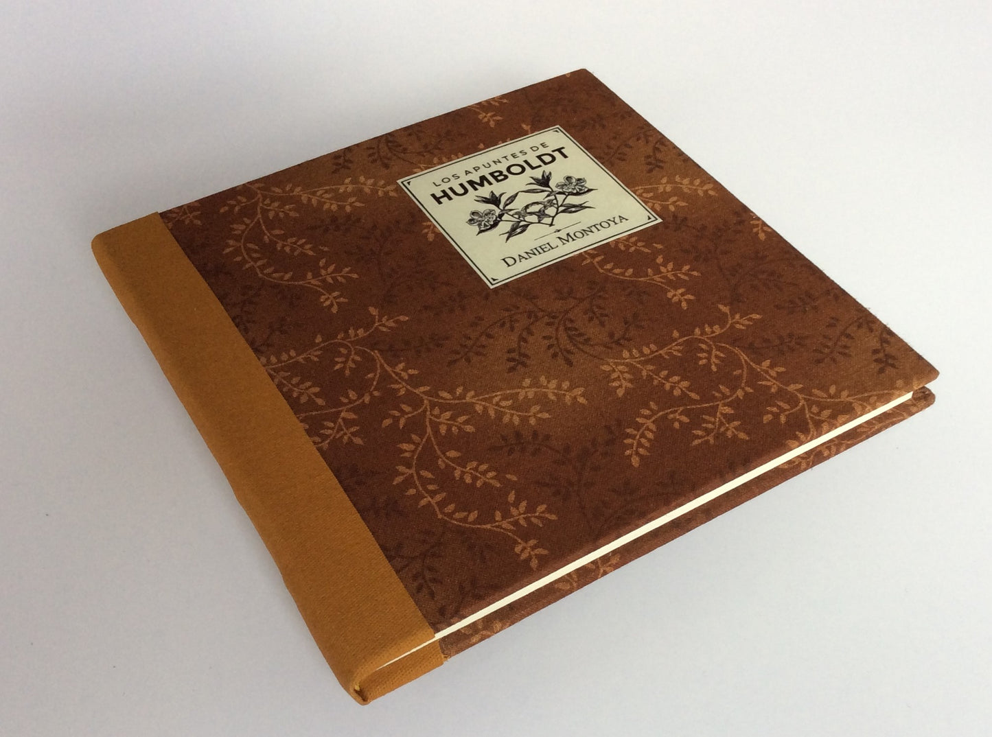 Los apuntes de Humboldt - Daniel Montoya - Imagen 8