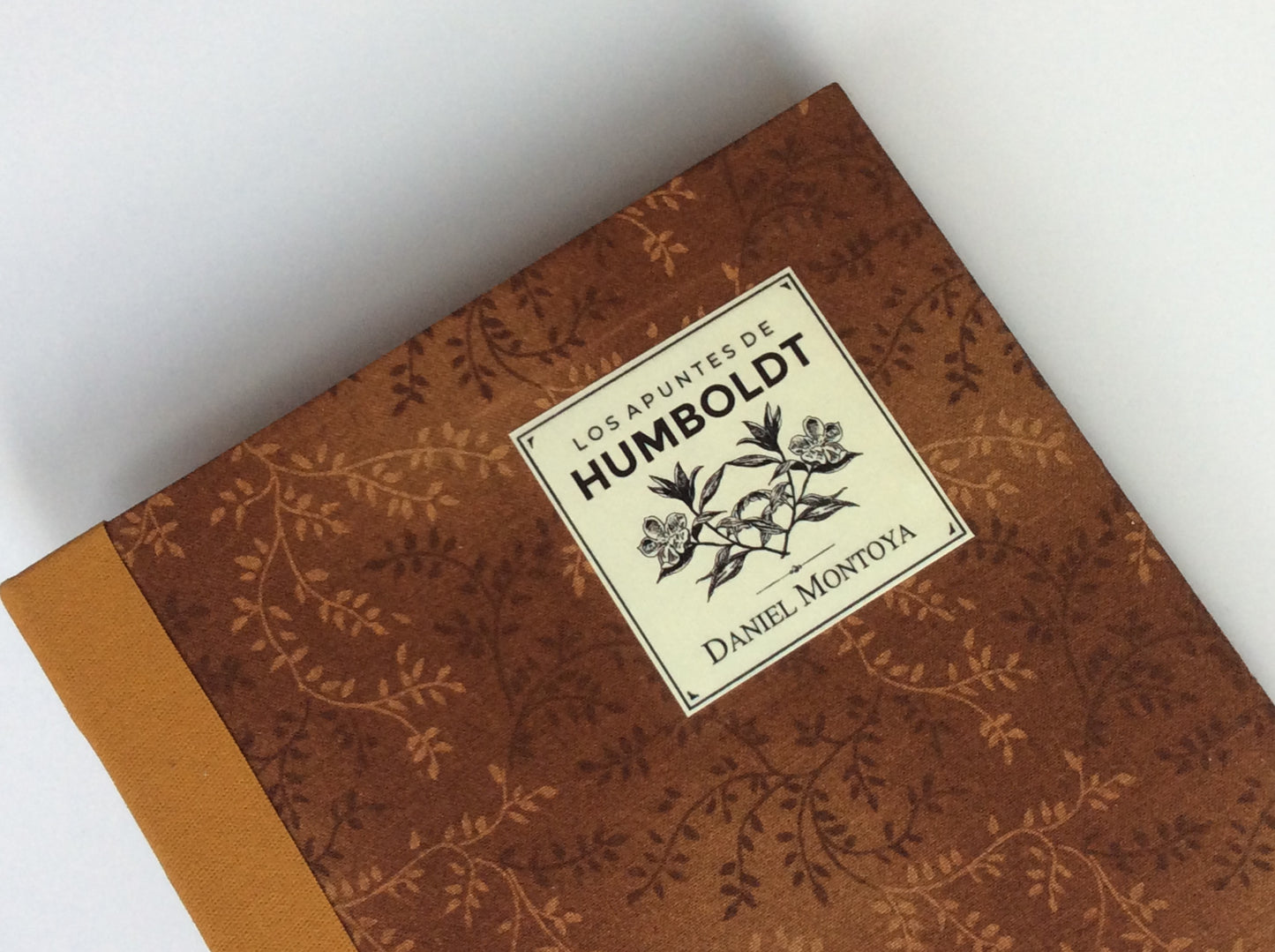 Los apuntes de Humboldt - Daniel Montoya - Imagen 9