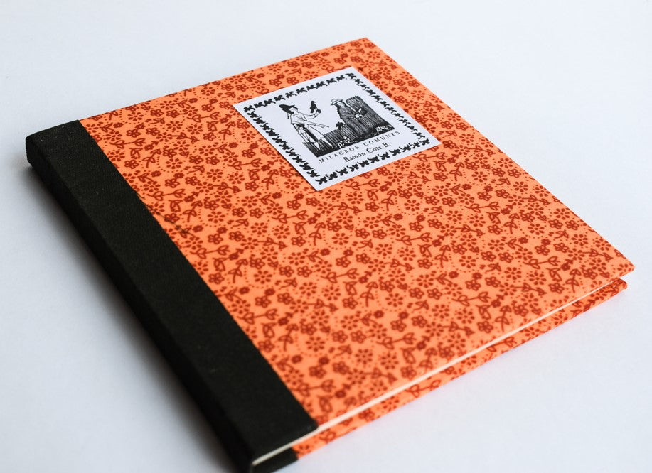 Milagros comunes - Ramón Cote Baraibar - Imagen 3