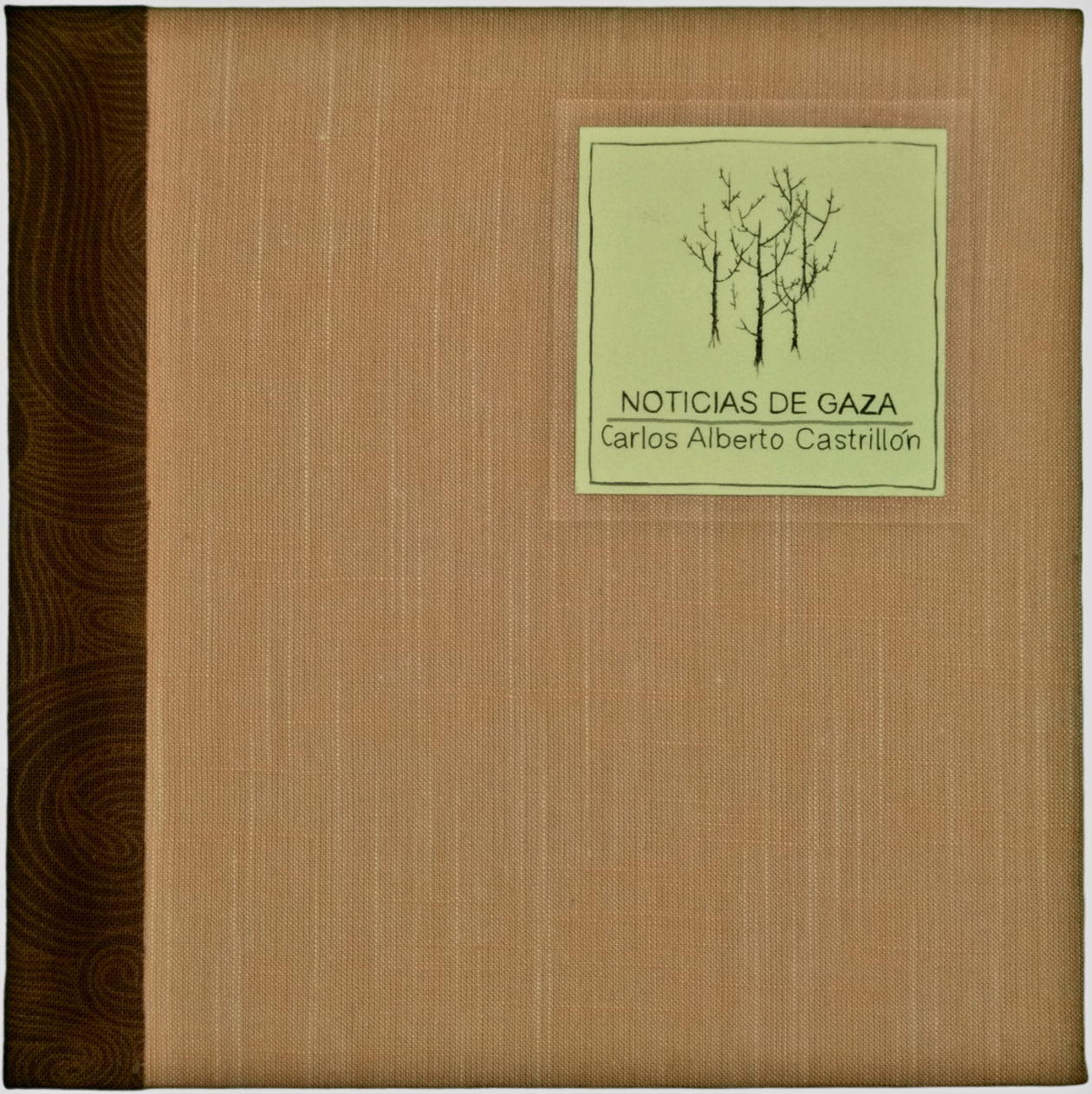 Noticias de Gaza - Carlos Alberto Castrillón - Imagen 2